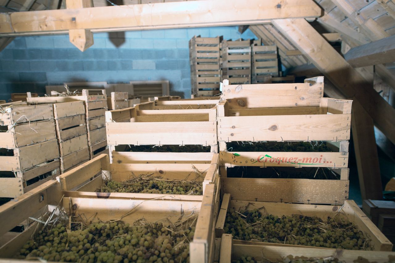 Vignoble Technique Vin de paille VDP-0040